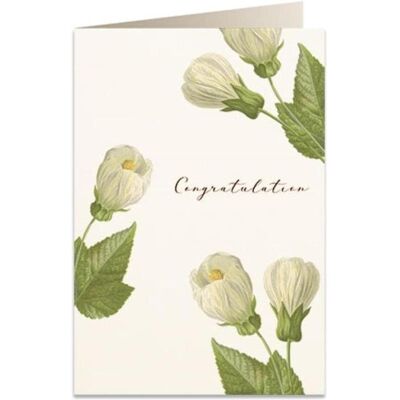 Tassotti, Carte de vœux + papier à lettres, Karte B6 + Umschlag 6027 Glückwunschblumen - Publicité Tassotti, Carte de vœux + papier à lettres, Karte B6 + Umschlag 6027 Glückwunschblumen - Publicité