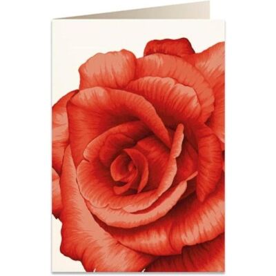Tassotti, Carte de vœux + papier à lettres, B6 Karte + Umschlag 5676 Rote Rose (1 pcs) - Publicité Tassotti, Carte de vœux + papier à lettres, B6 Karte + Umschlag 5676 Rote Rose (1 pcs) - Publicité