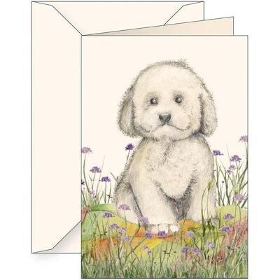 Tassotti, Carte de vœux + papier à lettres, Carte B6 + enveloppe 6180 Caniche - Publicité Tassotti, Carte de vœux + papier à lettres, Carte B6 + enveloppe 6180 Caniche - Publicité