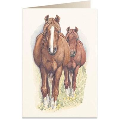 Tassotti, Carte de vœux + papier à lettres, Carte B6 + enveloppe 5937 chevaux (1 pcs) - Publicité Tassotti, Carte de vœux + papier à lettres, Carte B6 + enveloppe 5937 chevaux (1 pcs) - Publicité