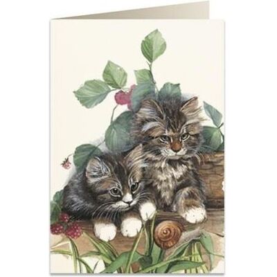 Tassotti, Carte de vœux + papier à lettres, Carte B6 + enveloppe 7538 Chaton - Publicité Tassotti, Carte de vœux + papier à lettres, Carte B6 + enveloppe 7538 Chaton - Publicité