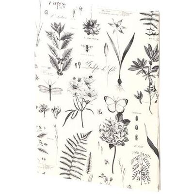 Rössler, Carte de vœux + papier à lettres, Papier à lettres Botanicals (20 pcs) - Publicité Rössler, Carte de vœux + papier à lettres, Papier à lettres Botanicals (20 pcs) - Publicité