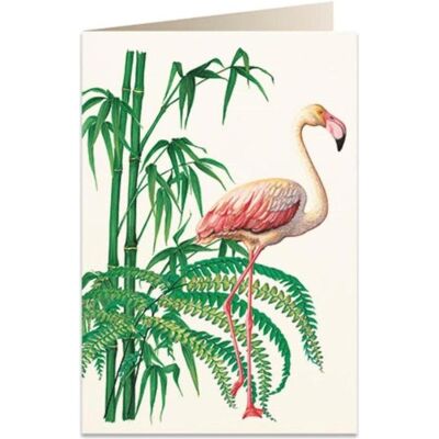 Tassotti, Carte de vœux + papier à lettres, B6 Karte + Umschlag 5929 Flamingo (1 pcs) - Publicité Tassotti, Carte de vœux + papier à lettres, B6 Karte + Umschlag 5929 Flamingo (1 pcs) - Publicité
