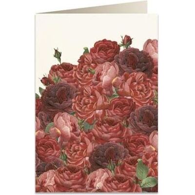 Tassotti, Carte de vœux + papier à lettres, Karte B6 + Umschlag 7523 Rote Rosen - Publicité Tassotti, Carte de vœux + papier à lettres, Karte B6 + Umschlag 7523 Rote Rosen - Publicité