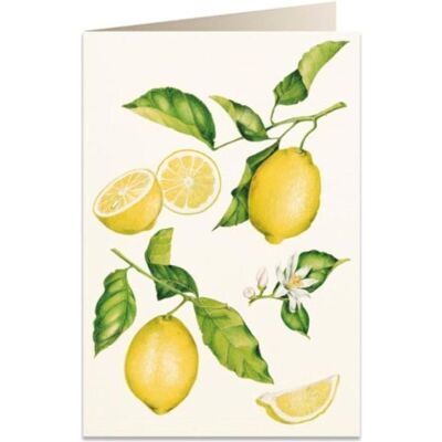 Tassotti, Carte de vœux + papier à lettres, Carte B6 + enveloppe 5957 Citrons - Publicité Tassotti, Carte de vœux + papier à lettres, Carte B6 + enveloppe 5957 Citrons - Publicité