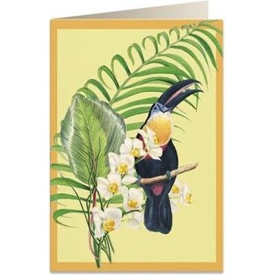Tassotti, Carte de vœux + papier à lettres, B6 Karte + Umschlag 6052 Tukan - Publicité Tassotti, Carte de vœux + papier à lettres, B6 Karte + Umschlag 6052 Tukan - Publicité