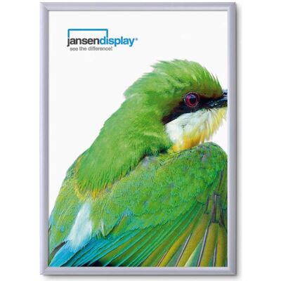 Cadre Pliable Argenté de Showdown Displays - Cadre Photo - Publicité Cadre Pliable Argenté de Showdown Displays - Cadre Photo - Publicité