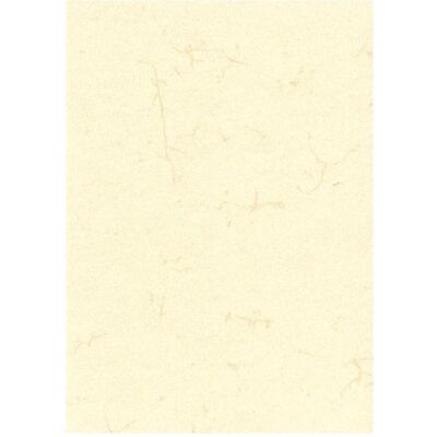 Papier motif peau d’éléphant RNK-Verlag A3 190 g/m² 10 feuilles - Publicité Papier motif peau d’éléphant RNK-Verlag A3 190 g/m² 10 feuilles - Publicité