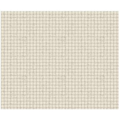 Ludwig Bähr - Motiv-Fotokarton 300 g/m² 49,5x68 Raster - Cardstock - Publicité Ludwig Bähr - Motiv-Fotokarton 300 g/m² 49,5x68 Raster - Cardstock - Publicité
