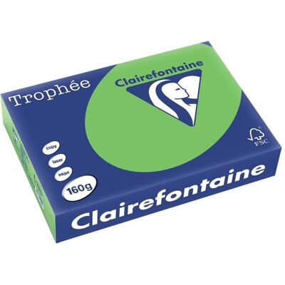 Papier coloré Trophée Intens Clairefontaine - A4 160g - Publicité Papier coloré Trophée Intens Clairefontaine - A4 160g - Publicité