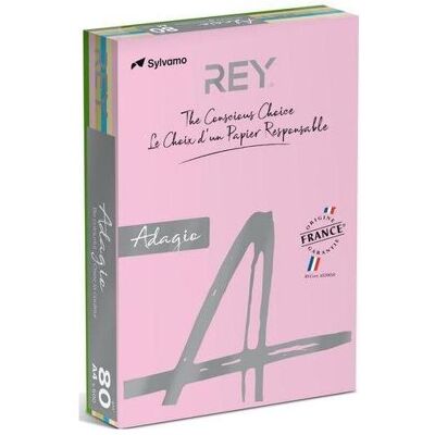 Rey, Papier, Papier couleur RYADA160X905 Couleur assortie 160 g/m (A4, 160 g/m²) - Publicité Rey, Papier, Papier couleur RYADA160X905 Couleur assortie 160 g/m (A4, 160 g/m²) - Publicité