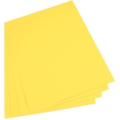 Folia, Papier à bricolage, Carton photo, (l)500 x (h)700 mm, 300 g/qm, jaune citron (300 g/m²) - Publicité Folia, Papier à bricolage, Carton photo, (l)500 x (h)700 mm, 300 g/qm, jaune citron (300 g/m²) - Publicité
