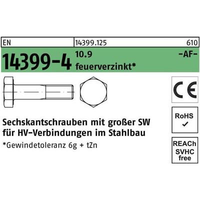 Vis à six pans M 27 x 240 - EN 14399-4 Friedberg - Publicité Vis à six pans M 27 x 240 - EN 14399-4 Friedberg - Publicité
