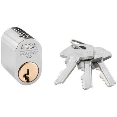 Assa Abloy, Cylindre de serrure, CYLINDRE 363105-120-011 CHROME 3 CLÉS (Cylindre profilé double entrée) - Publicité Assa Abloy, Cylindre de serrure, CYLINDRE 363105-120-011 CHROME 3 CLÉS (Cylindre profilé double entrée) - Publicité