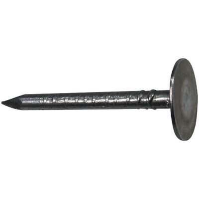 BRW - Dachpappen-Nägel 2.5 x 30 mm - galvanisé - 2160 pcs / 2 kg pack - Nails - Publicité BRW - Dachpappen-Nägel 2.5 x 30 mm - galvanisé - 2160 pcs / 2 kg pack - Nails - Publicité