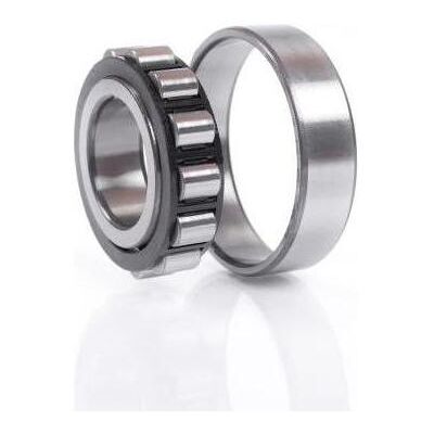 FAG N216-E-TVP2 Roulement à rouleaux cylindriques - 80mm-140mm - Publicité FAG N216-E-TVP2 Roulement à rouleaux cylindriques - 80mm-140mm - Publicité