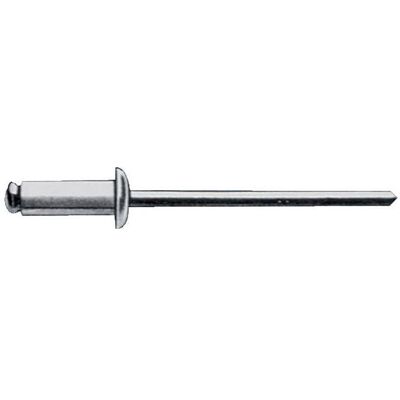 Rivette aveugle en acier inoxydable Gesipa 1455168 - Tête plate - 5x8mm - Publicité Rivette aveugle en acier inoxydable Gesipa 1455168 - Tête plate - 5x8mm - Publicité