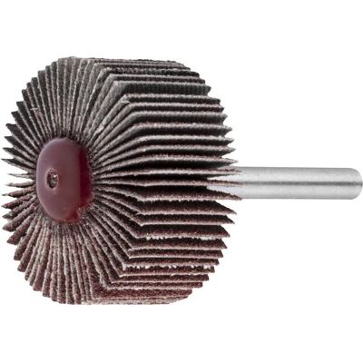 Lukas, Abrasifs, LUKAS-ERZETT A2200030056150 Fächerschleifer SFL universal 30x5 mm Schaft 6 mm Ko - Publicité Lukas, Abrasifs, LUKAS-ERZETT A2200030056150 Fächerschleifer SFL universal 30x5 mm Schaft 6 mm Ko - Publicité