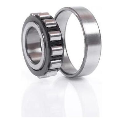 Roulement à rouleaux cylindriques FAG N317-E-M1 - Roulement - Publicité Roulement à rouleaux cylindriques FAG N317-E-M1 - Roulement - Publicité