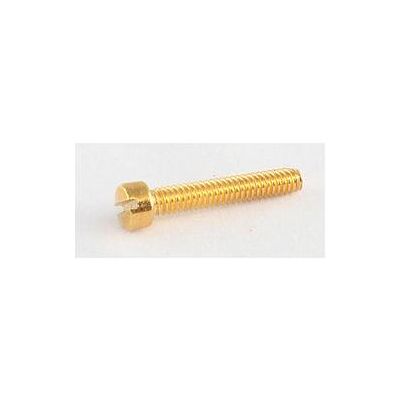AllParts AP GS 5453-002 Vis de pôle or, Instrument : accessoires, Or - Publicité AllParts AP GS 5453-002 Vis de pôle or, Instrument : accessoires, Or - Publicité