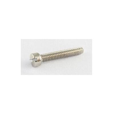 AllParts AP GS 5453-001 Vis de pôle nickel, Instrument : accessoires, Argent - Publicité AllParts AP GS 5453-001 Vis de pôle nickel, Instrument : accessoires, Argent - Publicité
