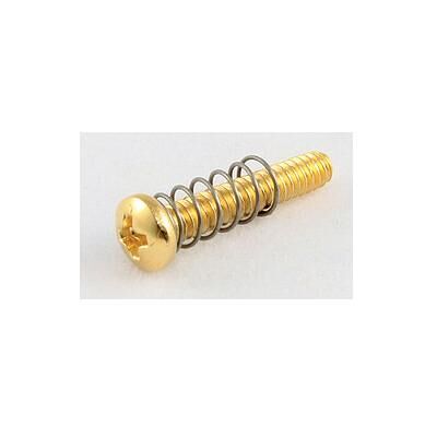 AllParts AP GS 0004-002 Vis d'intonation or, Instrument : accessoires, Or - Publicité AllParts AP GS 0004-002 Vis d'intonation or, Instrument : accessoires, Or - Publicité