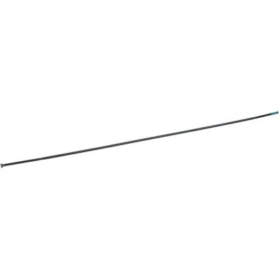 Shimano Rayon WH-RS81 VR - Publicité Shimano Rayon WH-RS81 VR - Publicité