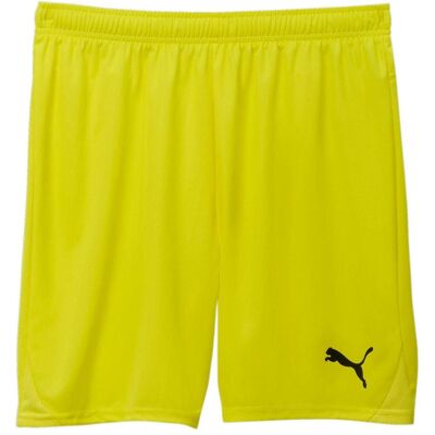 Puma Herren, Sporthose, teamGOAL Shorts (L) - Pantalon de sport - Publicité Puma Herren, Sporthose, teamGOAL Shorts (L) - Pantalon de sport - Publicité