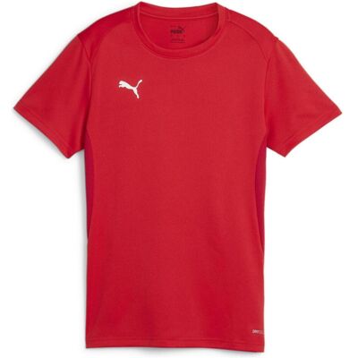 Puma Damen teamGOAL Jersey Wmn - Sportshirt - Publicité Puma Damen teamGOAL Jersey Wmn - Sportshirt - Publicité