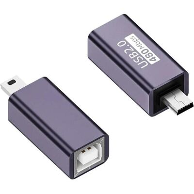 PowerGuard Adaptateur USB B 2.0 (femelle) femelle vers mini USB 2.0 (mâle), Adaptateur USB, Gris - Publicité PowerGuard Adaptateur USB B 2.0 (femelle) femelle vers mini USB 2.0 (mâle), Adaptateur USB, Gris - Publicité