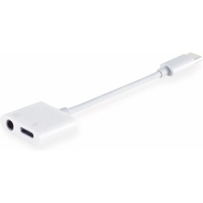 Adaptateur Audio USB-C Shiverpeaks S/CONN - Connectivité Max - Publicité Adaptateur Audio USB-C Shiverpeaks S/CONN - Connectivité Max - Publicité