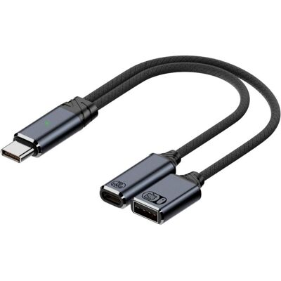 PowerGuard Adaptateur USB-C vers USB-A pour données et recharge, 100 W PD, 480 Mbit/s (USB-A, USB-C), Adaptateur USB, Noir, Gris - Publicité PowerGuard Adaptateur USB-C vers USB-A pour données et recharge, 100 W PD, 480 Mbit/s (USB-A, USB-C), Adaptateur USB, Noir, Gris - Publicité