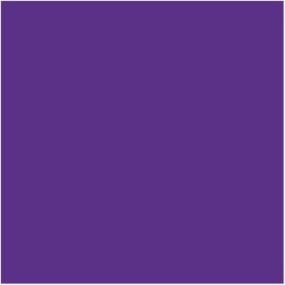 PLOTTIX Feuille de Vinyle Permanente - Violet - 31,5cm x 1m - Publicité PLOTTIX Feuille de Vinyle Permanente - Violet - 31,5cm x 1m - Publicité