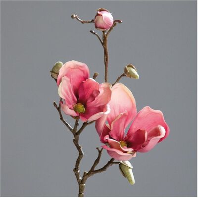 Magni, Plantes artificielles, Kunstblume Magnolien Pick 48cm (48 cm) - Publicité Magni, Plantes artificielles, Kunstblume Magnolien Pick 48cm (48 cm) - Publicité
