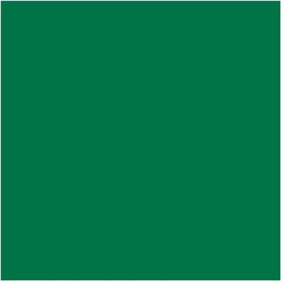 PLOTTIX PL0502012 - Feuille de vinyle permanent - 31,5cm x 1m - Vert - Feuille de vinyle - Publicité PLOTTIX PL0502012 - Feuille de vinyle permanent - 31,5cm x 1m - Vert - Feuille de vinyle - Publicité