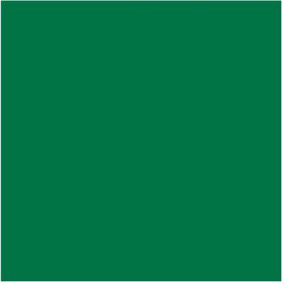 PLOTTIX PL0502012 - Feuille de vinyle permanent - 31,5cm x 1m - Vert - Feuille de vinyle - Publicité PLOTTIX PL0502012 - Feuille de vinyle permanent - 31,5cm x 1m - Vert - Feuille de vinyle - Publicité