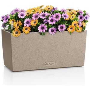 Lechuza, Pot de fleurs, BALCONERA Stone 40 Beige (19 x 40 x 19 cm) - Publicité Lechuza, Pot de fleurs, BALCONERA Stone 40 Beige (19 x 40 x 19 cm) - Publicité