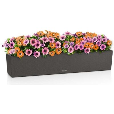 Lechuza, Pot de fleurs, BALCONERA Stone 100 (99 x 19 x 19 cm) - Publicité Lechuza, Pot de fleurs, BALCONERA Stone 100 (99 x 19 x 19 cm) - Publicité