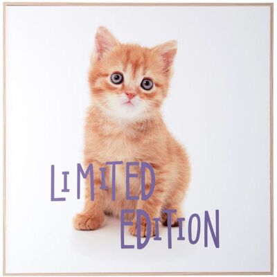 present time, Tableaux, Wall Art Kitten Limited Edition (40 x 40 cm) - Publicité present time, Tableaux, Wall Art Kitten Limited Edition (40 x 40 cm) - Publicité