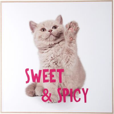 present time, Tableaux, Wall Art Kitten Sweet & Spicy (40 x 40 cm) - Publicité present time, Tableaux, Wall Art Kitten Sweet & Spicy (40 x 40 cm) - Publicité