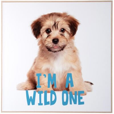 present time, Tableaux, Wall Art Puppy I'm A wilde One (40 x 40 cm) - Publicité present time, Tableaux, Wall Art Puppy I'm A wilde One (40 x 40 cm) - Publicité