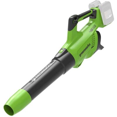 Greenworks 24V+24V Souffleur à Feuilles (sans batterie ni chargeur) - Publicité Greenworks 24V+24V Souffleur à Feuilles (sans batterie ni chargeur) - Publicité