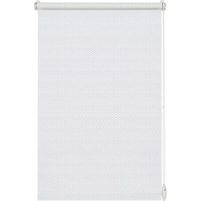 Gardinia, Stores, EASYFIX Rollo Shaun (45 x 160 cm) - Publicité Gardinia, Stores, EASYFIX Rollo Shaun (45 x 160 cm) - Publicité