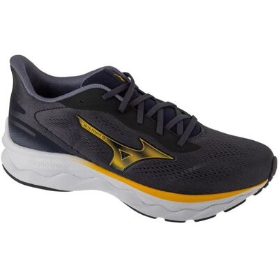 Mizuno, Hommes, Chaussures de course à pied, Wave Serene 2 (46), Bleu, Gris - Publicité Mizuno, Hommes, Chaussures de course à pied, Wave Serene 2 (46), Bleu, Gris - Publicité