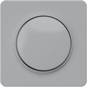 Siemens 5TC8906 - Plaque de recouvrement argent pour variateur avec bouton rotatif - Publicité Siemens 5TC8906 - Plaque de recouvrement argent pour variateur avec bouton rotatif - Publicité