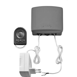 Somfy 1870381 Ouverture de porte de garage - Contrôle io 2 canaux - Publicité Somfy 1870381 Ouverture de porte de garage - Contrôle io 2 canaux - Publicité