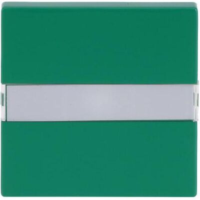 Busch-Jaeger, Accessoires Gamme d'interrupteurs, Bascule avec zone d'inscription 2CKA001731A4007 - Publicité Busch-Jaeger, Accessoires Gamme d'interrupteurs, Bascule avec zone d'inscription 2CKA001731A4007 - Publicité