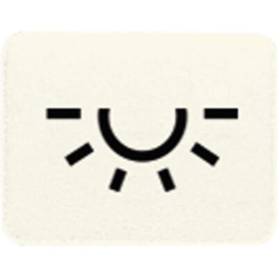 JUNG, Accessoires Gamme d'interrupteurs, ST Symbole lumière 33L blanc ALT : 31L - Publicité JUNG, Accessoires Gamme d'interrupteurs, ST Symbole lumière 33L blanc ALT : 31L - Publicité