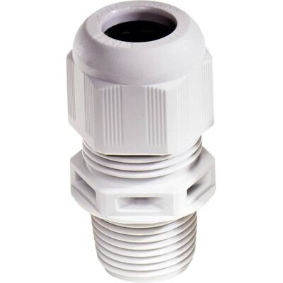 Wiska - 10062657 - 1/2 NPT - Presse-étoupe - Publicité Wiska - 10062657 - 1/2 NPT - Presse-étoupe - Publicité