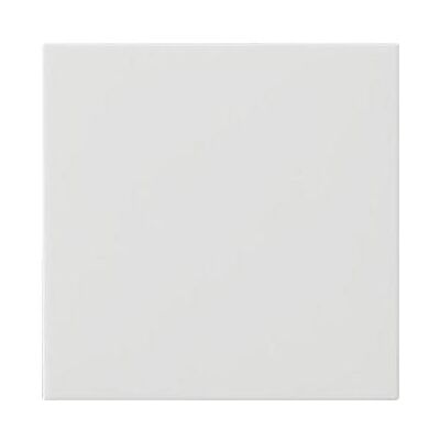 Gira, Accessoires Gamme d'interrupteurs, Bascule 1f non imprimée Système 55 blanc pur 537203 - Publicité Gira, Accessoires Gamme d'interrupteurs, Bascule 1f non imprimée Système 55 blanc pur 537203 - Publicité